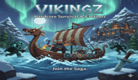 VikingZ banner